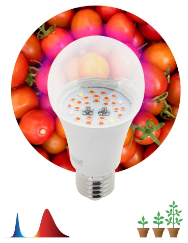 Светодиодная ЭРА FITO-10W-RB-E27 10 Вт, 200 К