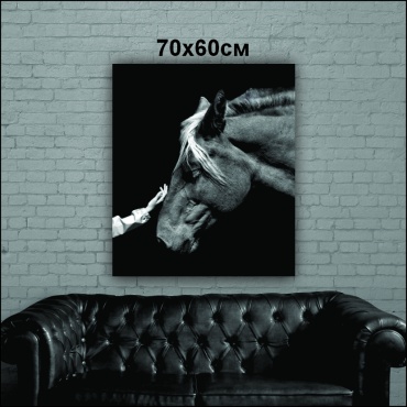 Картина Лошадь Ч/Б 60x70 см