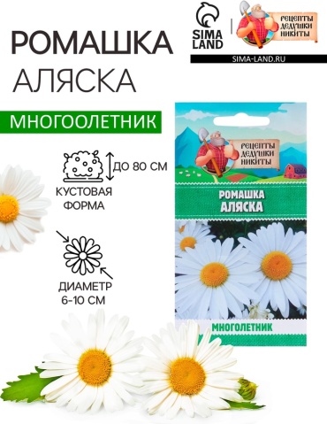 Рецепты дедушки Никиты ромашка "Аляска"