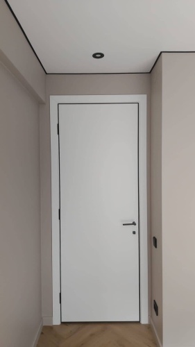 Elite Invisible 700х2000 мм, глухая, распашная