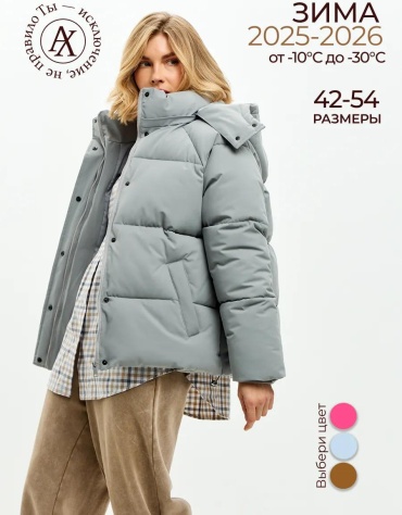 Пуховик ALAINIX серый