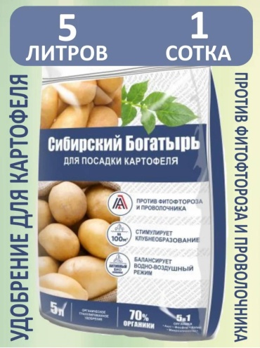 Сибирский богатырь