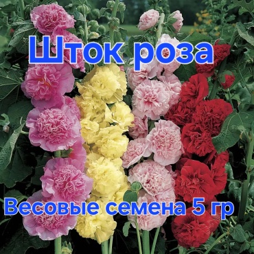 Мальва Шток роза, смесь окрасок, весовые семена 5 гр