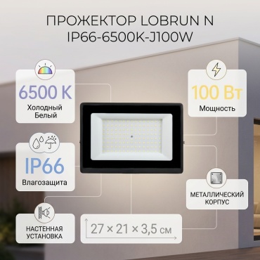 Уличный светильник настенно-потолочный LOBRUN LED 100 Вт 21 см