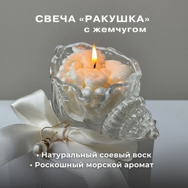 Ароматическая свеча CANDLEVI Ракушка с жемчугом 4 см, 1 шт белый, прозрачный