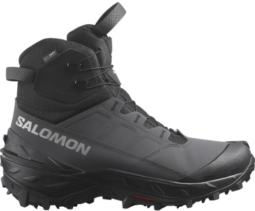 Ботинки Salomon серый, черный