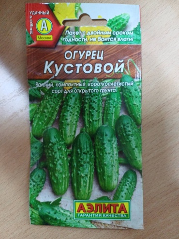 Аэлита огурец Кустовой