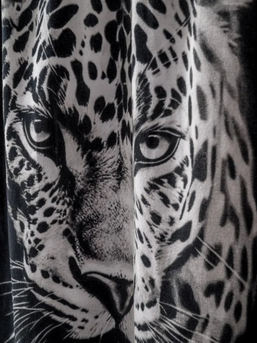 Фото 3