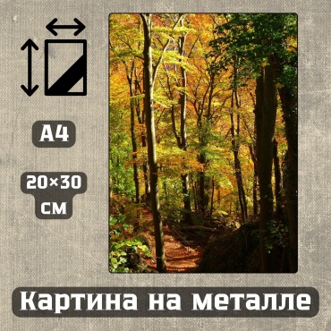 Sequoia VERS картина Картина на металле а4 Дыхание природы 20*30см 20x30 см