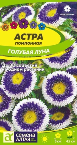 Семена Алтая астра Голубая Луна