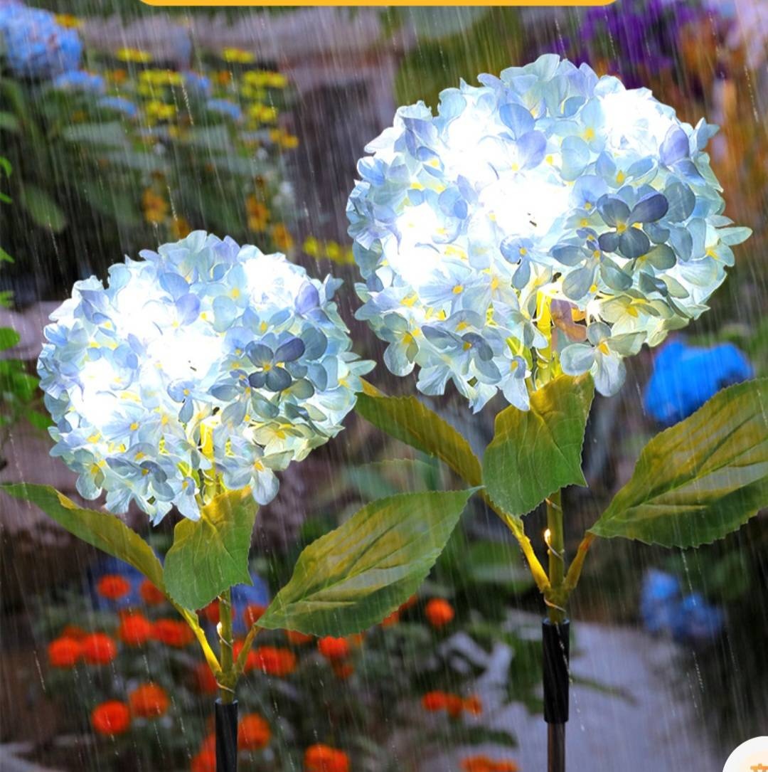 Фото 5