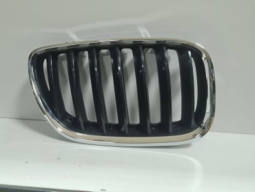 AP решетка BM05009303R00 BMW X-Series X5
