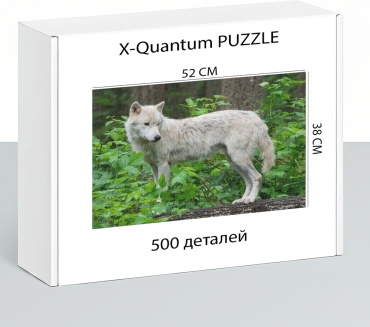X-Quantum puzzle_iofsqpdxuh классический 500 деталей