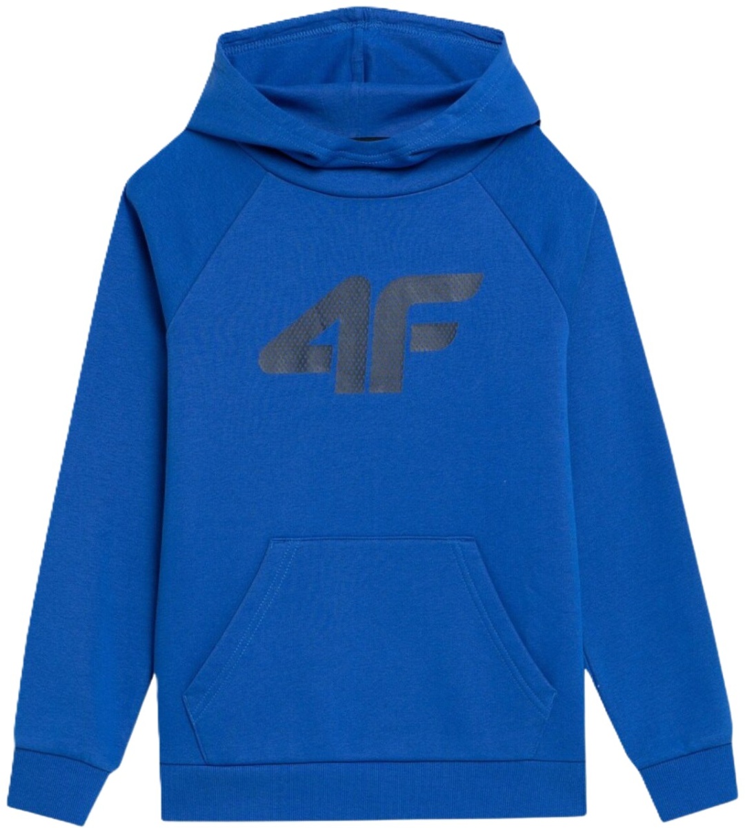 Толстовка 4F синий