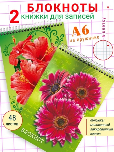 Блокнот Полиграфсоюз Цветы, A6, 48 л, мультиколор 2 шт