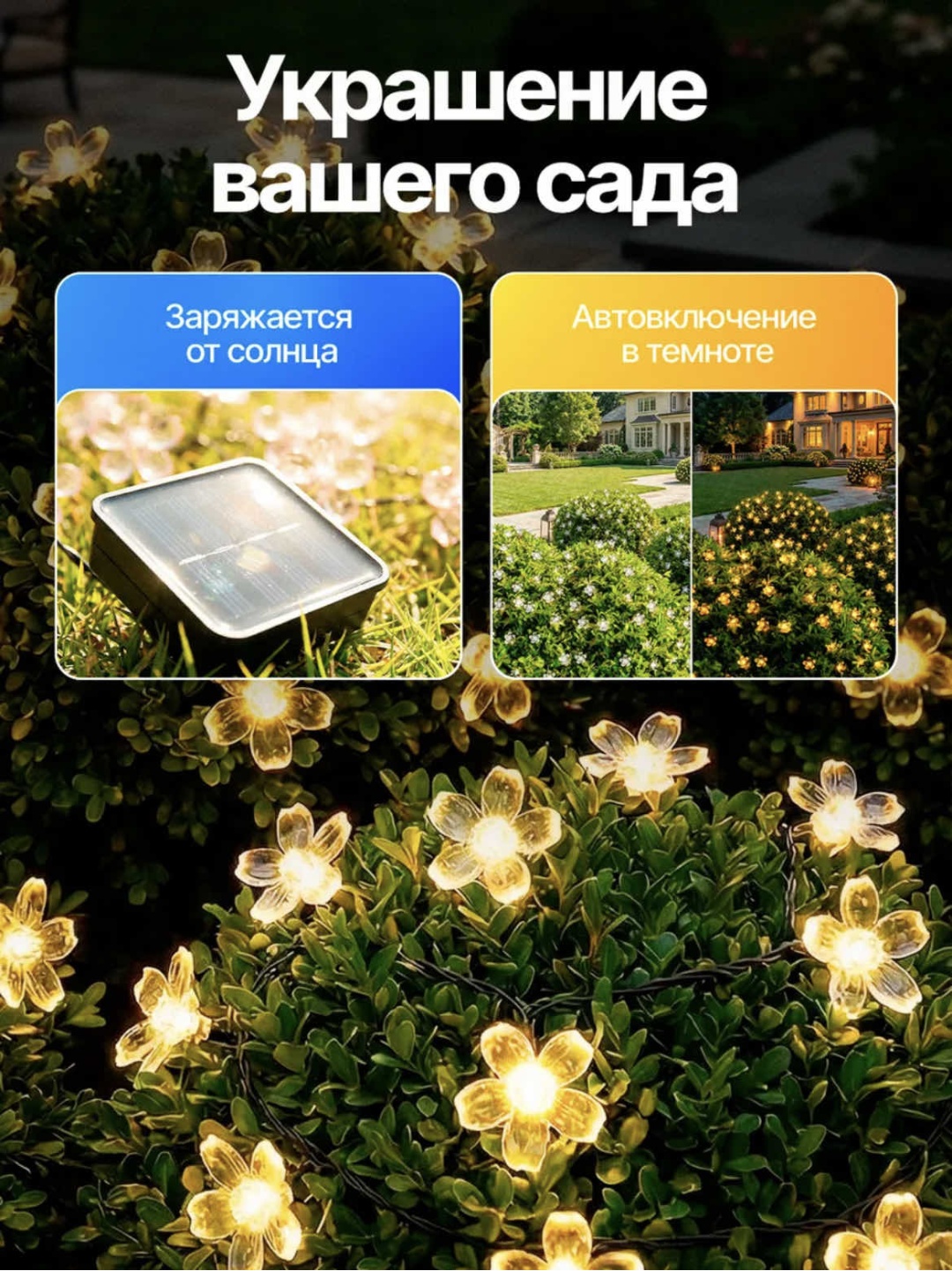 Фото 3