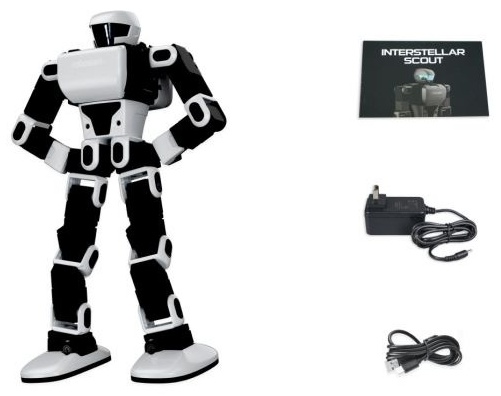 ОбГЭС Новосибирск қаласындағы жезөкшелер