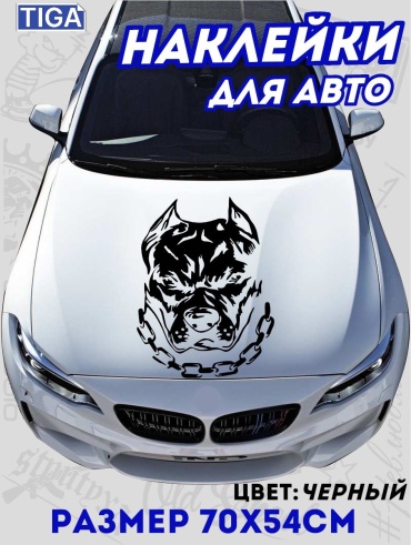 Tiga наклейка TIG-008K 70x54 см