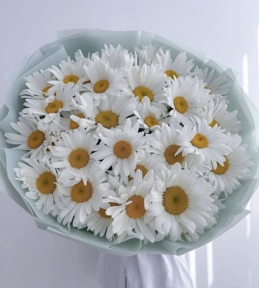 Ромашки
