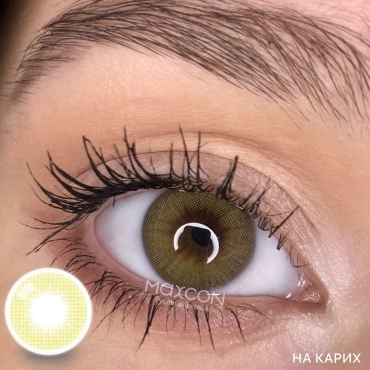Контактные линзы MAXCON CLASSIC JASMINE -1.25 кривизна 8.6 на год 2 шт