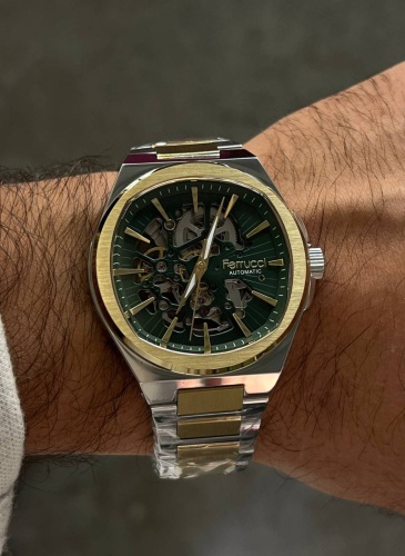 Механические Ferrucci DREAMFI 0086415M нержавеющая сталь