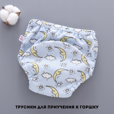 Боксеры голубой