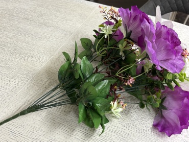 Фото 5