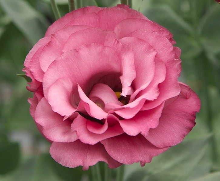 Фото 3