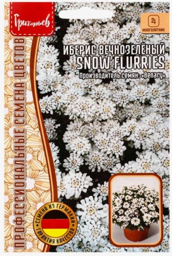 Григорьев иберис SNOW FLURRIES