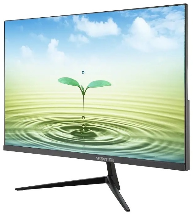 Монитор 23.8" Wintek CM24F17 черный