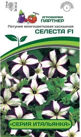 Партнер петуния СЕЛЕСТА F1