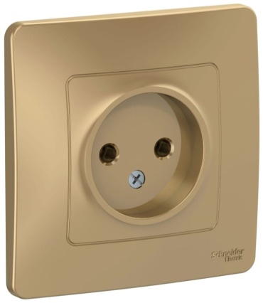 Розетка Schneider Electric BLNRS000014, титан