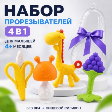 Прорезыватель LIMMPO KIDS Набор прорезывателей 4 в 1 для малышей (с футляром), 4 шт, мультиколор
