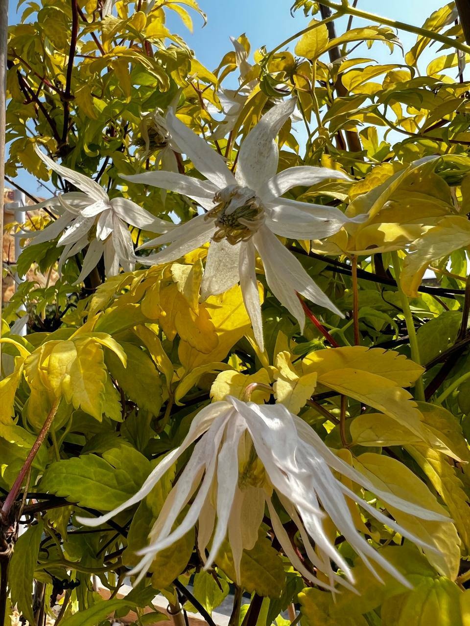 Фото 3