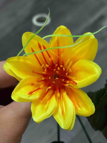 Фото 4