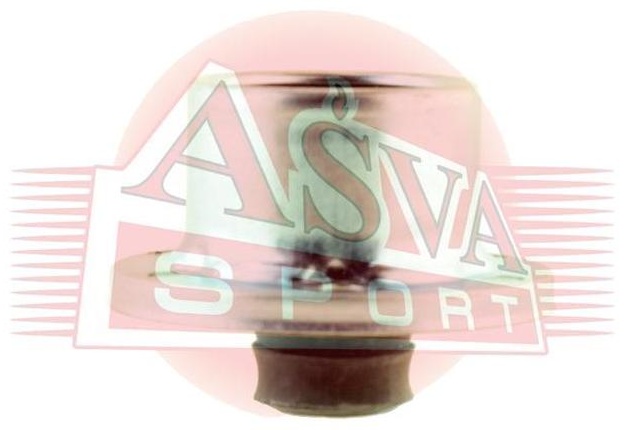 ASVA пыльник шруса ASBTPSJBF
