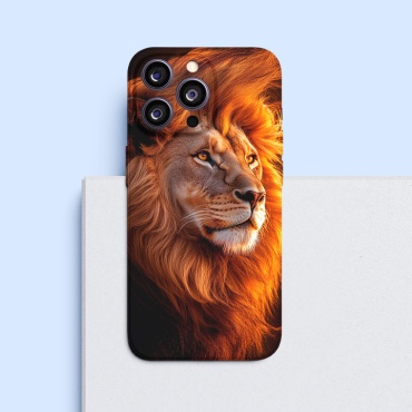 Чехол для Apple iPhone Xs Max рисунок