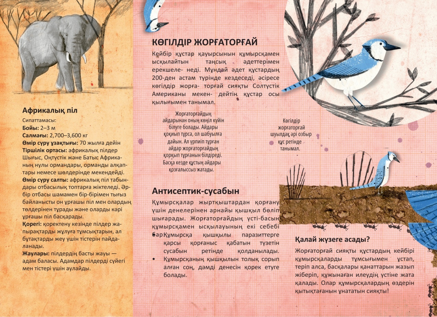 Украиндық Вудманның кастингі