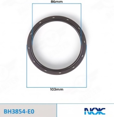 NOK сальник коренной BH3854-E0