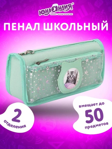 Пенал ЮНЛАНДИЯ 26747018, застежка молния, розовый
