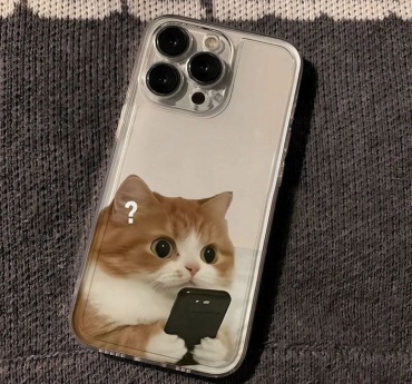 Чехол ARGYN для Apple iPhone 16 Pro Max рисунок