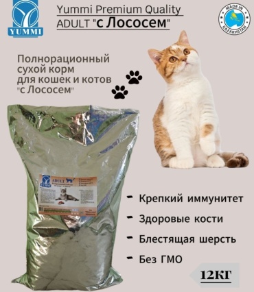 YUMMI Premium Quality Adult для взрослых лосось 12 кг