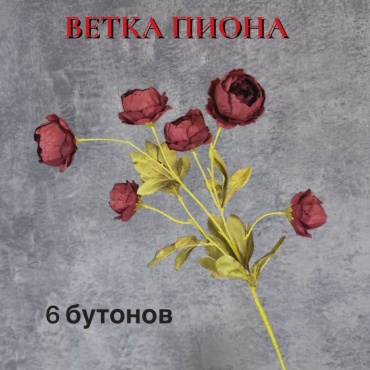 Ветка S-ta пион 71 см, 8417-24