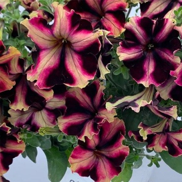 Фото 2