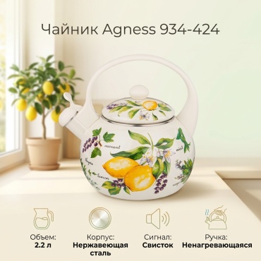Agness чайник 934-424 2.2 л, сталь
