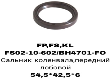RTL-DSN сальник лобовой FS02-10-602