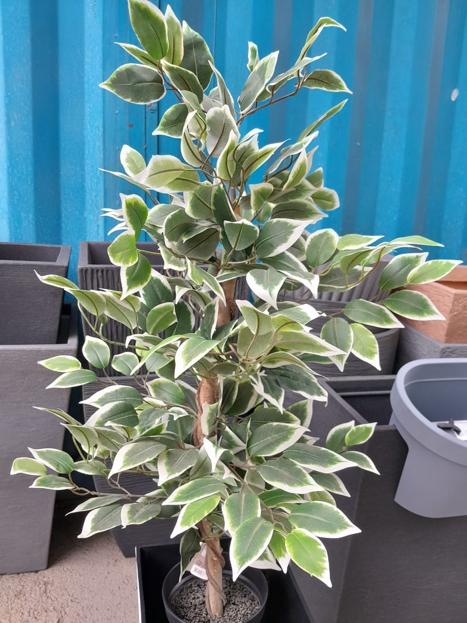 Фото 6