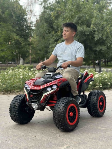 Toyla Sport 901 мультиколор