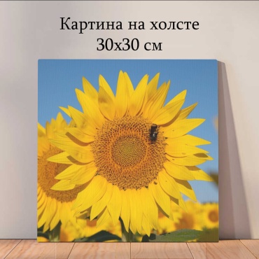Quantum картина растения и цветы_vt8 30x30 см