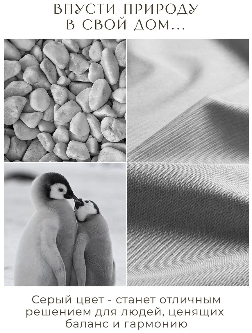Фото 6